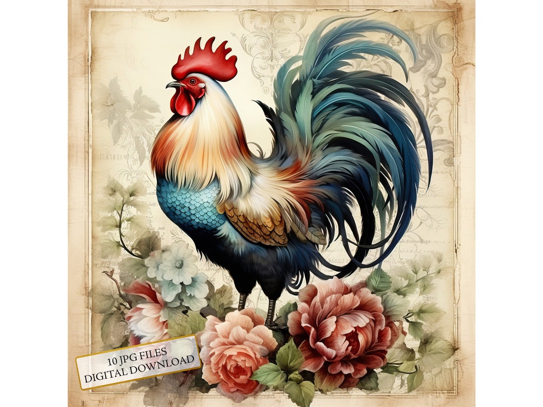 Shabby Chic Rooster With Flowers Clipart Bundle- 10 High Quality ...