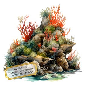 Koralen groeien uit rotsen clipartbundel-10 hoge kwaliteit aquarel pngs-ocean leven, journaling, scrapbook levering, digitale download