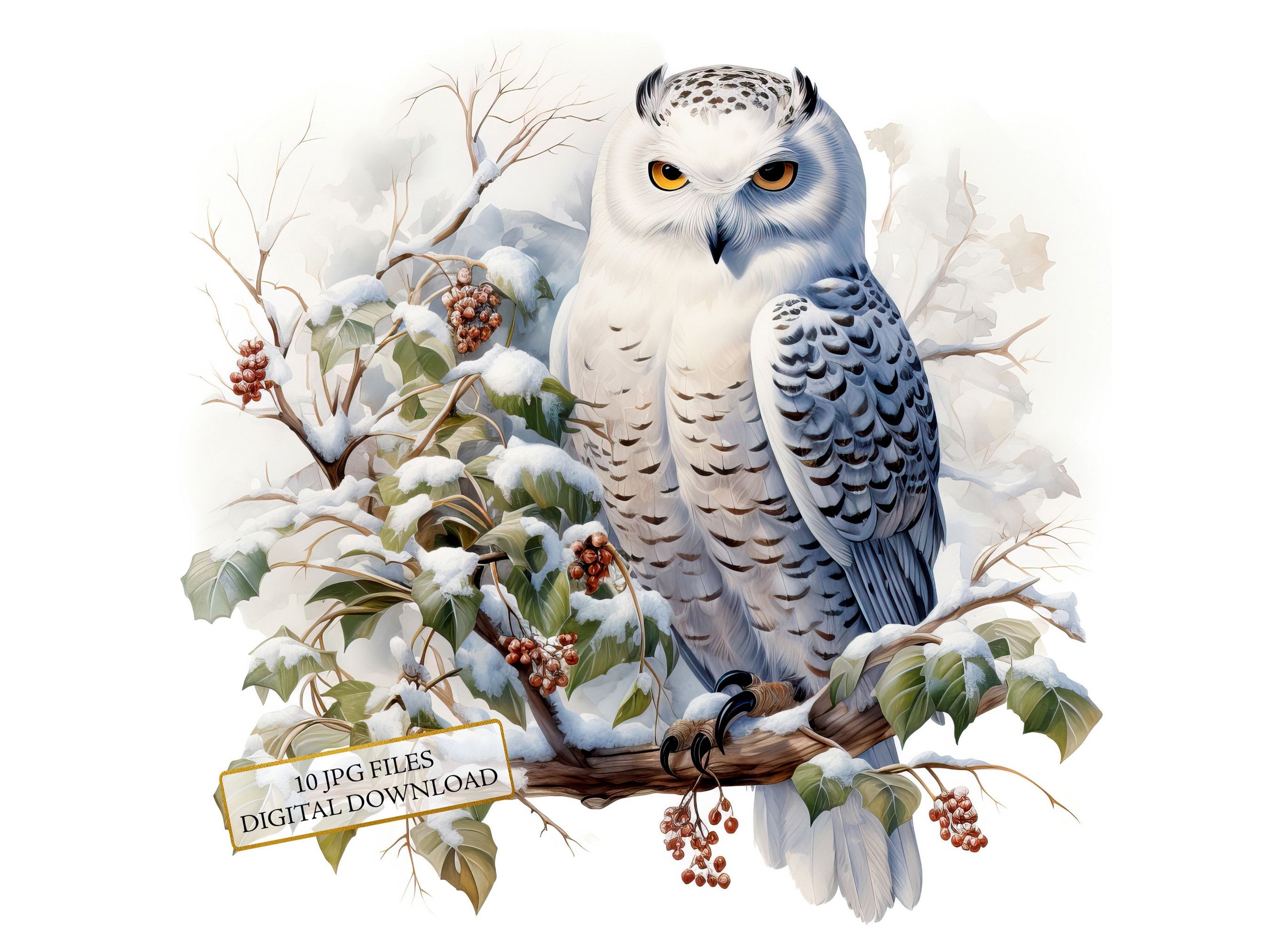 Owl on Snowy Branches JPG Clipart Bundle- Digital Download