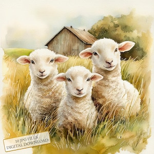 Little Lambs on Farm JPG Clipart Bundle- Digital Download