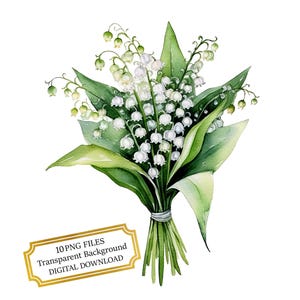 Bundle de cliparts bouquet de muguet - 10 PNG aquarelles de haute qualité - artisanat de fleurs, journalisation, fournitures de scrapbooking, téléchargement numérique