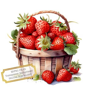 Strawberry Basket PNG Clipart Bundle- Digital Download