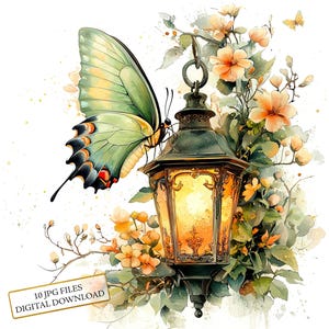 Blumenlaterne mit Motte Clipart Bundle - 10 hochwertige Aquarell JPGs - Garten, Basteln, Journaling, Scrapbook Versorgung, digitaler Download