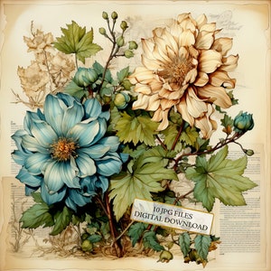 Zachte vintage bloemen krant clipart bundel-10 hoge kwaliteit aquarel jpg's-decoupage ambachtelijke junk journaling, plakboek, digitale download