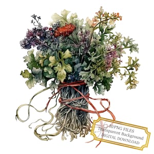 Bouquet of Parsley, Sage, Rosemary and Thyme PNG Clipart Bundle- Digital Download