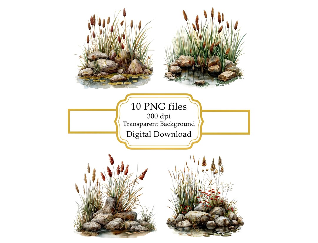 Bull Rushes Banner Bulrushes Among Rocks by Water PNG Clipart Bundle- Digital Download - Etsy
