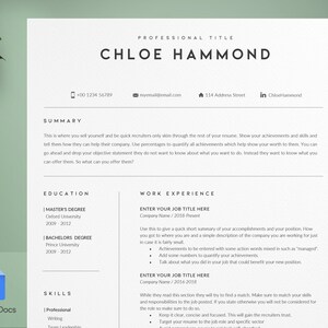 Resume Template Google Docs - CV Template - Nurse Resume - Minimalist Resume - Executive Resume - Resume Google Docs - Resume Cover Letter