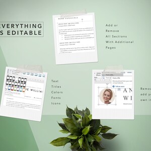 Google Docs Resume Template CV Miodocs - Editable Template - Free Fonts ...