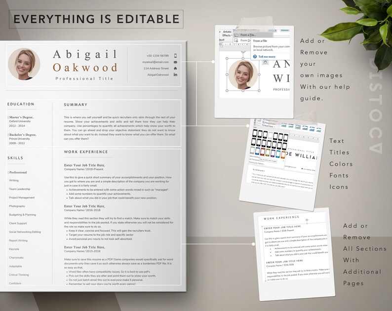 May include: A customizable resume template with a gray background and a professional design. The template includes sections for education, work experience, skills, and a summary. The text "EVERYTHING IS EDITABLE" is at the top of the page. The template is designed to help users create a professional resume that stands out to potential employers.
