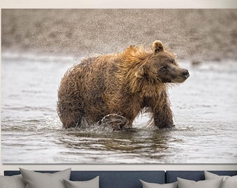 Brown Bear Print on Canvas Animal Wildlife Multi Panel Photo Poster Woodland Photo Print Creative Wall Hanging Decor for Indie Room