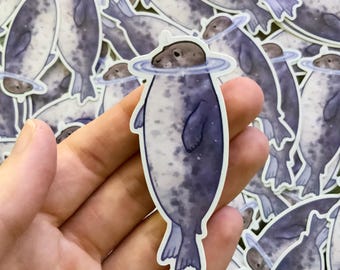 Submerged Seal Wildlife Vinyl Sticker