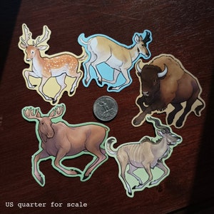 Bison Wildlife Vinyl Sticker Bild 3