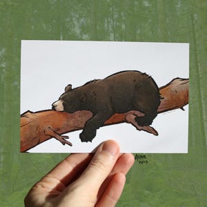 Cartão postal de urso preto adormecido - Mini impressão artística