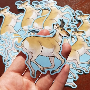 Può includere: Un set di adesivi con un antilope pronghorn di cartone animato con un corpo marrone chiaro, segni bianchi e corna nere. Gli adesivi sono stampati su uno sfondo blu chiaro.