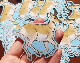 Pronghorn Antelope Wildlife Vinyl Sticker