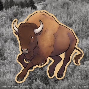 Bison Wildlife Vinyl Sticker Bild 2