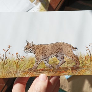 Cartão Postal Bobcat no Outono - Mini Impressão Artística