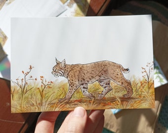 Bobcat en postal de otoño - Mini impresión de arte
