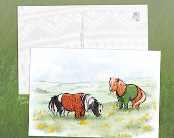 Shetland Ponies in Sweaters Postcard - Mini Art Print