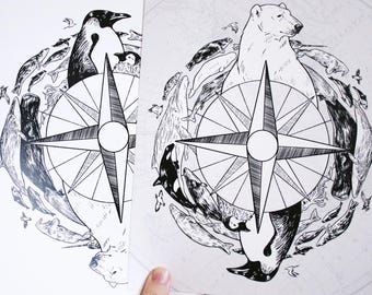 Fauna polar - Impresión artística del Ártico y la Antártida
