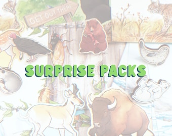 Surprise Packs - Stickers and Prints - Animal Art