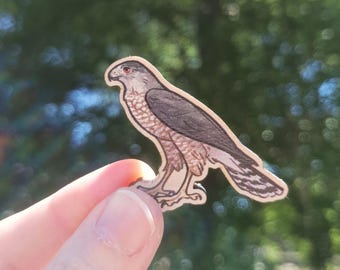 Pin de madera de halcón de Cooper / Pin de animal