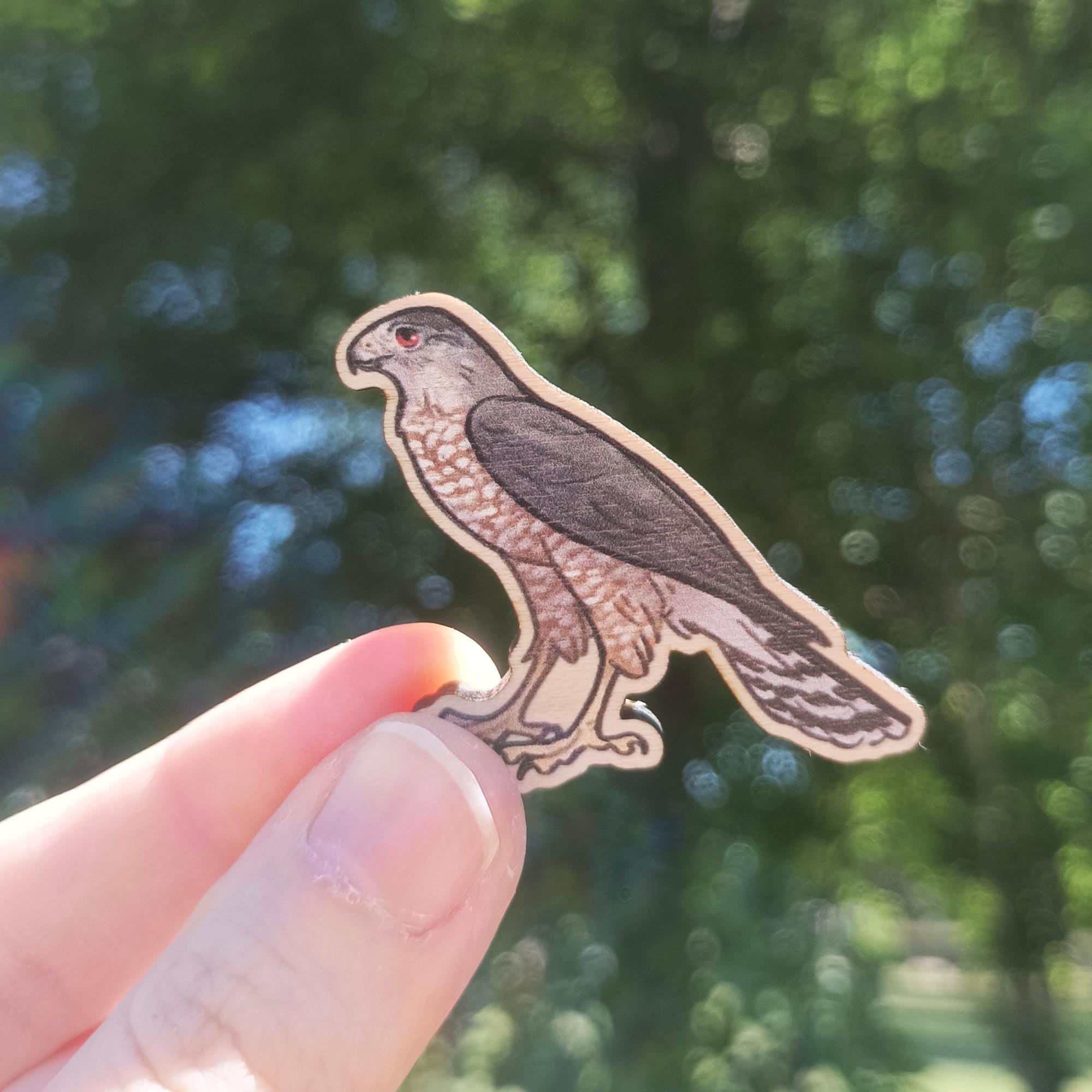 Crescent Hawk Pin Cooper's Hawk Wooden Pin / Animal Pin - Etsy