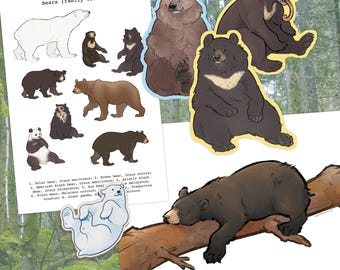 Bear Art Bundles - Animal Gift Pack - Postcards Stickers Pins