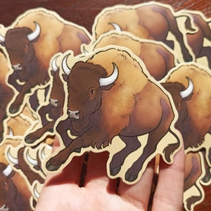 Bison Wildlife Vinyl Sticker Bild 1