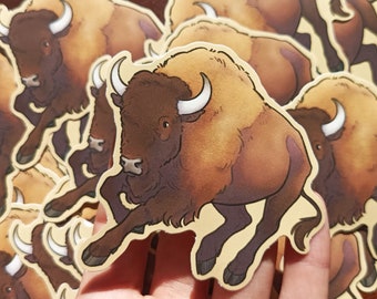 Bison Wildlife Vinyl Sticker