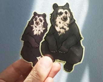 Pegatina de vinilo de oso de anteojos