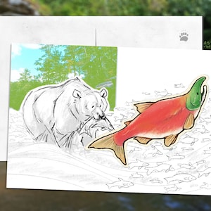 Carte postale à croquis d'ours et de saumon - Mini impression d'art