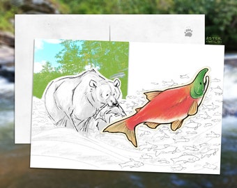 Postal con boceto de oso y salmón - Mini lámina artística