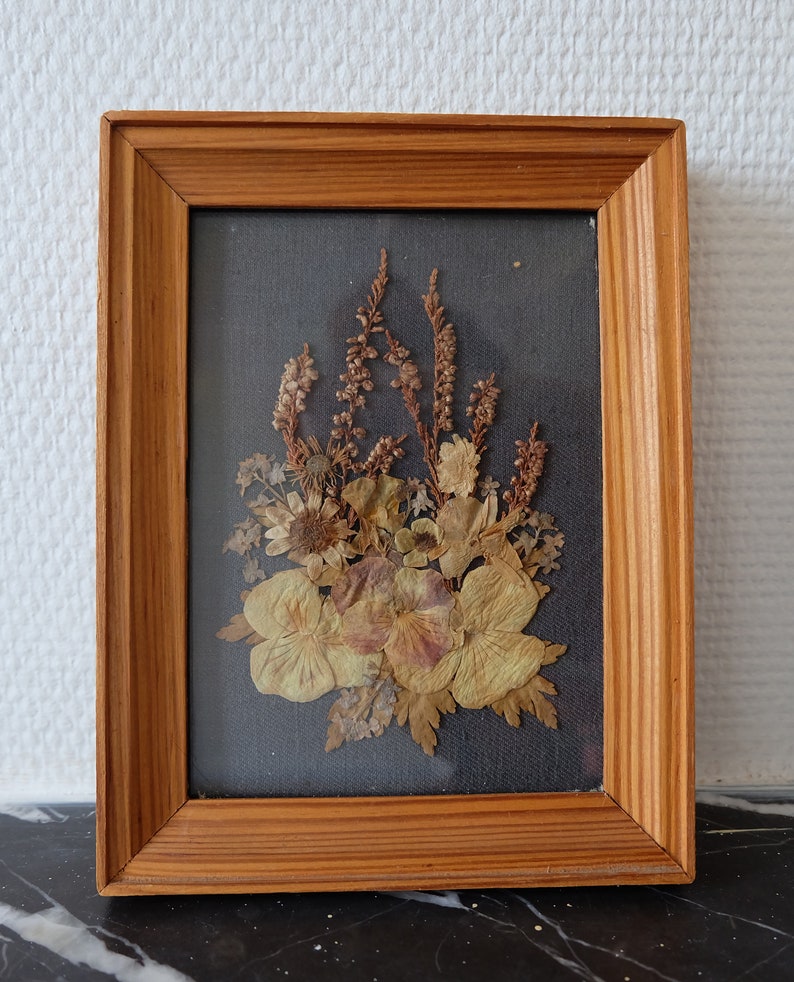 Herbarium Sous Verre Herbier Vintage Made In Poland Etsy
