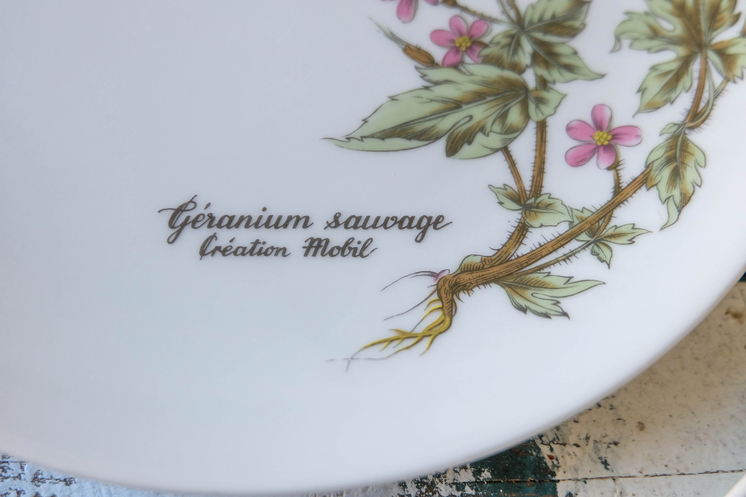 SERVICE A CAFE PORCELAINE BLANC MOTIF COULEUR WINTERLING 24 PIECES