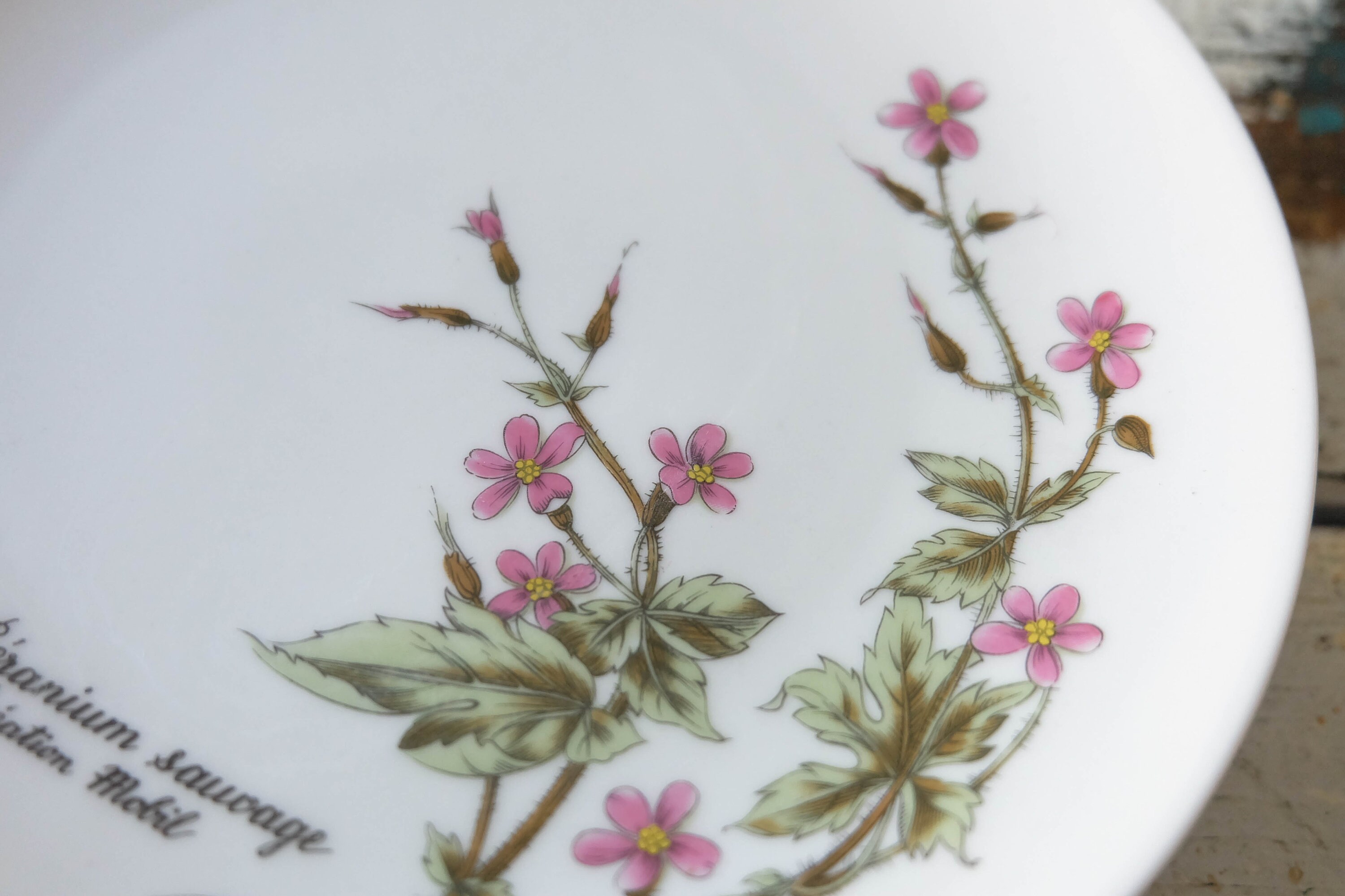 Winterling Porcelain, Roslau, Bavaria, Vintage, Porcelain, Plates, Plate, Decor, Vintage Germany