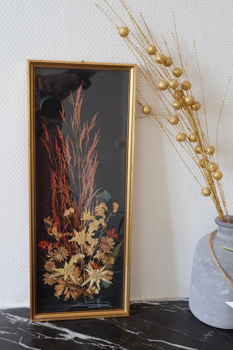 Herbarium Sous Verre Herbier Vintage Made In France Etsy