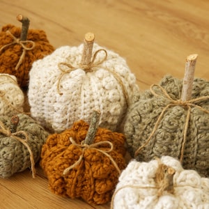 May include: A collection of crocheted pumpkins in various colors, including beige, brown, and green. The pumpkins are decorated with twine and have natural twig stems.