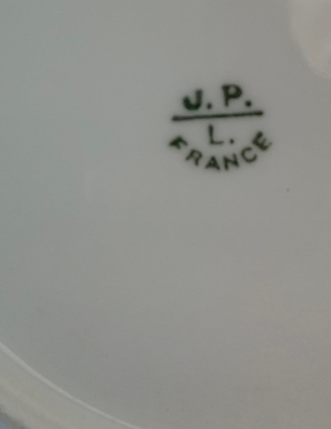 Two STUNNING Limoges Hand Painted Floral Plates From Early Etsy