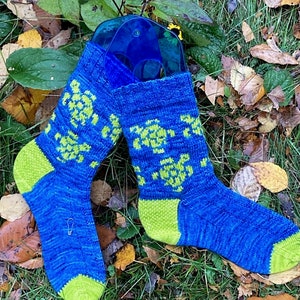 Könnte beinhalten: Ein Paar blaue Stricksocken mit limettengrünen Fersen und Zehen. Die Socken haben ein sich wiederholendes Muster aus limettengrünen Schildkröten. Die Socken werden auf Gras und Herbstlaub präsentiert.