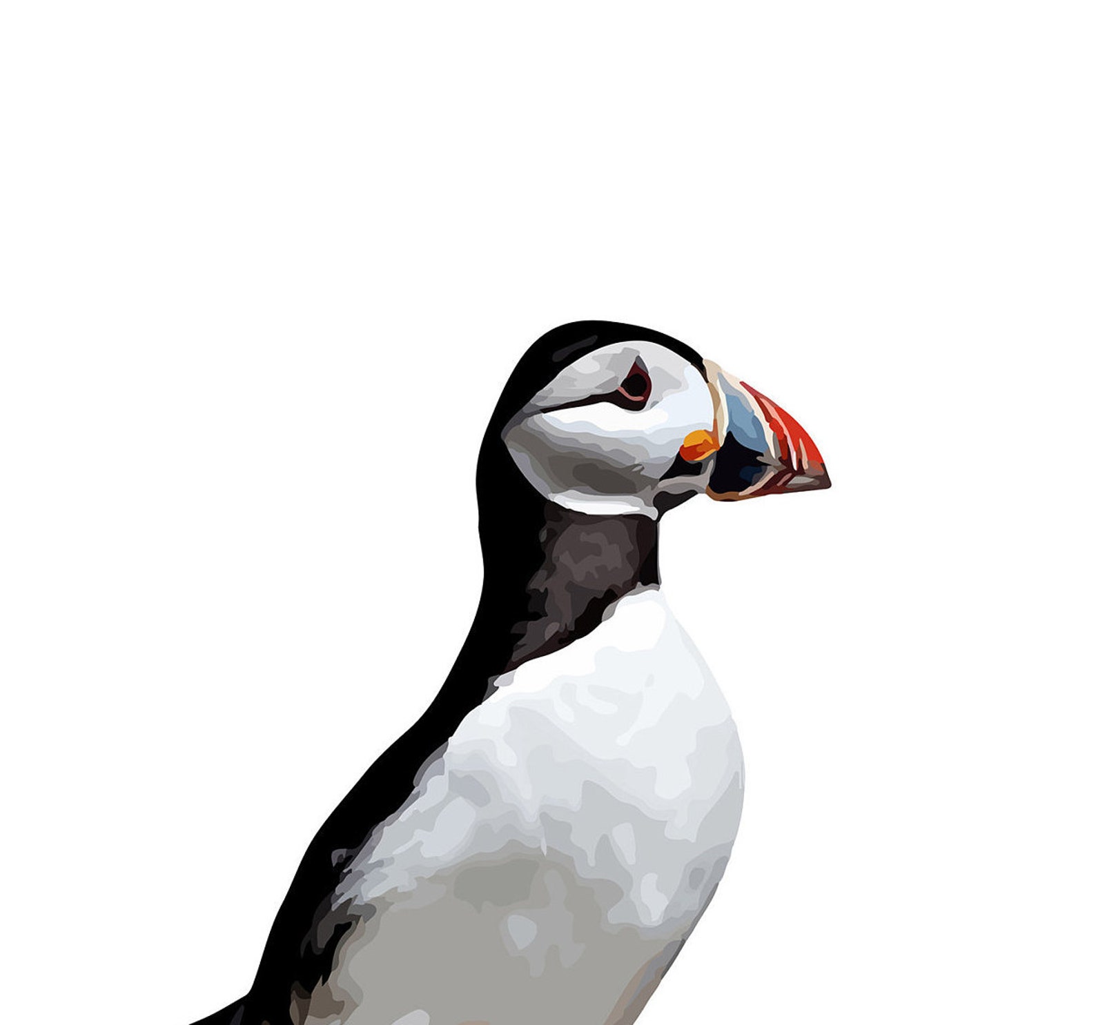Puffin Printable Decor Puffin Wall Art Digital Download | Etsy