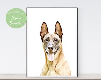 Malinois belga - Decoración imprimible - Descarga digital - Arte de la pared del perro, retrato de mascota
