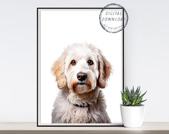 May include: A white and brown dog with a black collar, looking directly at the camera. The dog is on a white background.