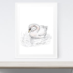 White Swan Printable Home Decor - Digital Download - Bird Illustration - Swan Ink Drawing, Waterbird Gift, Swan Wall Art