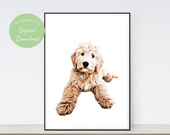 May include: A digital print of a golden doodle puppy sitting on a white background. The puppy is looking at the camera with its tongue slightly sticking out.