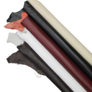 May include: Assortment of leather hides in various colors, including white, black, brown, red, and gray. The hides are rolled up and arranged in a fan shape.