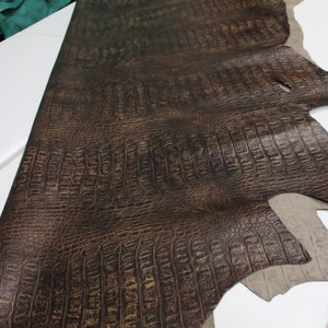 Op de afbeelding: Een bruine alligator-ge&euml;mbosseerde lederhuid met een textuur.