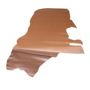 May include: A piece of brown leather with a smooth, slightly shiny finish. The leather is folded and has a slightly irregular shape.