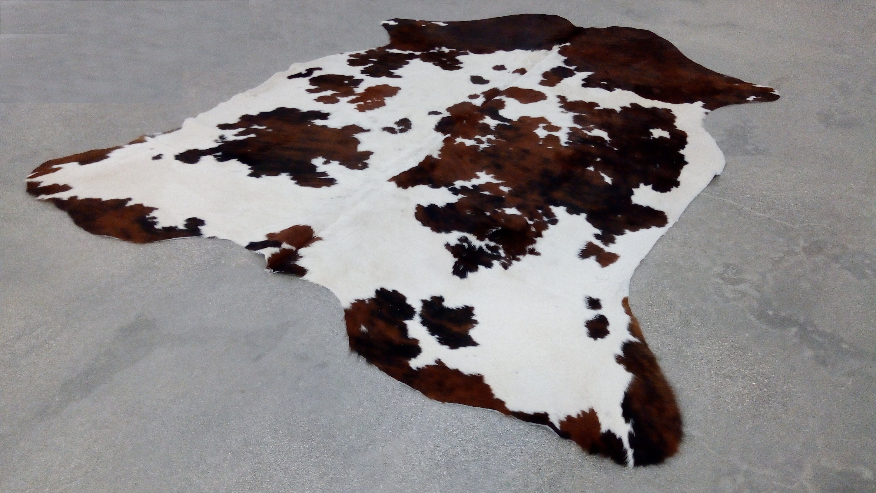 Tricolor Cowhide Rug Sizes XL 7'x6' Ft L Etsy