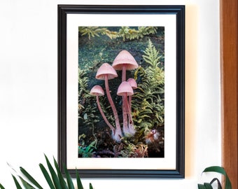 Mushroom print, Mushroom poster, Nature print, Outdoor photography, British Columbia, Vancouver art, Wall decor, Gift for hiker, Fungi print